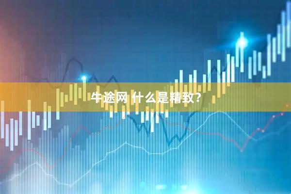 牛途网 什么是精致？